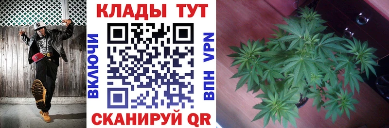 Купить наркотики Домодедово A PVP  Канабис  Псилоцибиновые грибы  Codein  ГАШ  COCAIN  Меф мяу мяу 