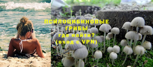 мескалин Алексин
