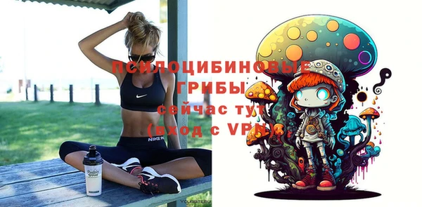 гашик Алексеевка