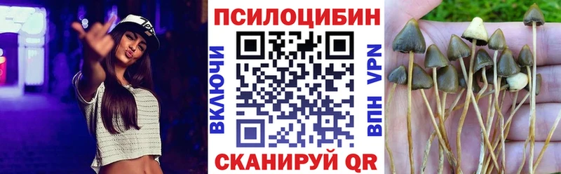 Псилоцибиновые грибы Psilocybe  Домодедово 